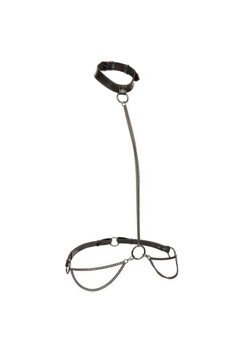 Chain Halter & Collar by CalExotics