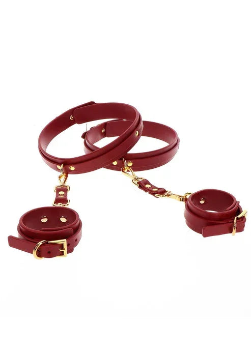Bondage in Luxury Wrist To Thigh Cuff Set by Taboom