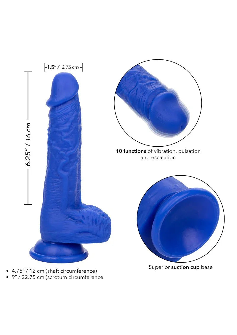 β CalExotics Admiral 7β Vibrating Sailor - Happytoys Sexshop: Toys for Feeling Happy & Easy π - Discreet geleverd