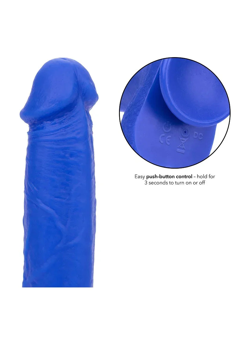 ♂ CalExotics Admiral 8” Vibrating Captain - Happytoys Sexshop: Toys for Feeling Happy & Easy 😊 - Discreet geleverd