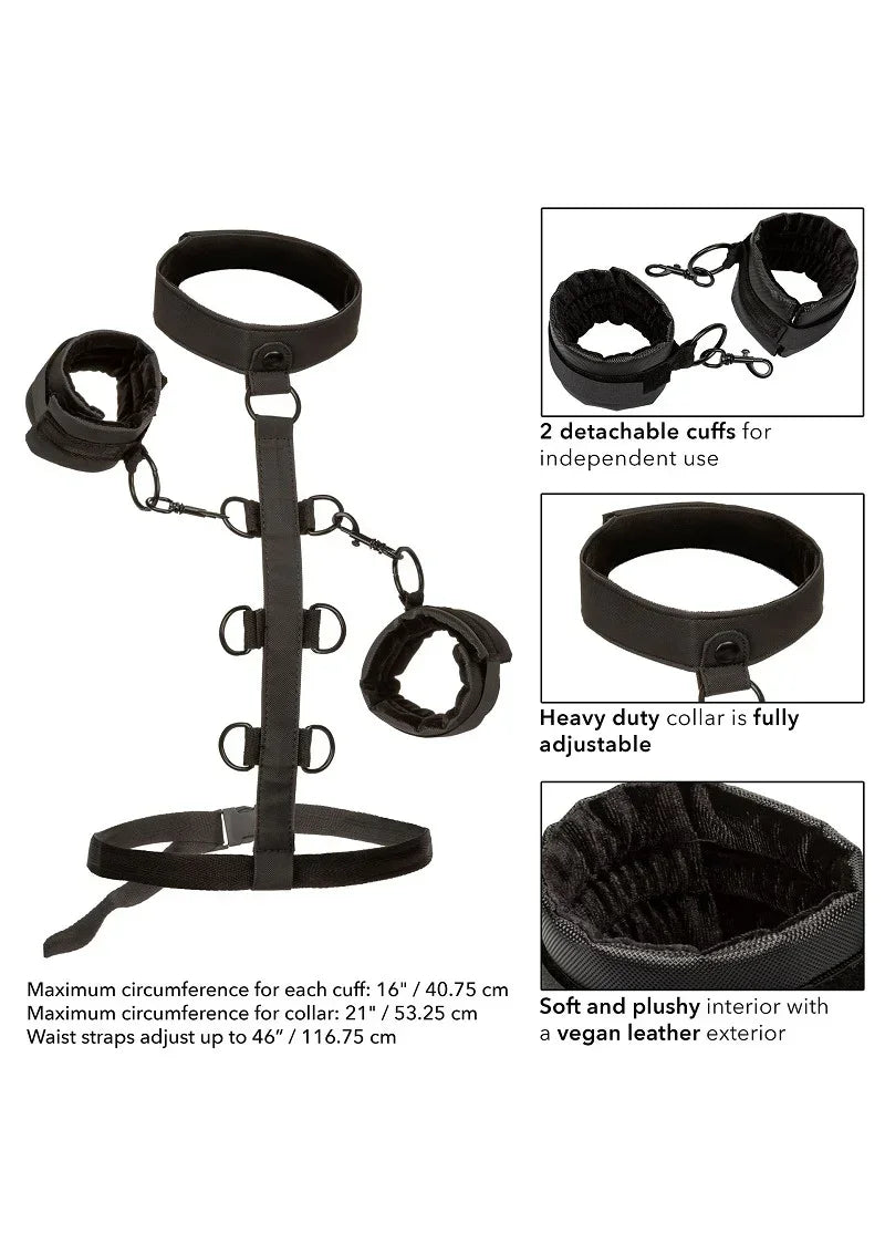 CalExoticsBoundlessCollarBodyRestraint6 @ Happytoys Sexshop: online sex shop for Feeling Happy & Easy 😊 the erotic store owned by a woman