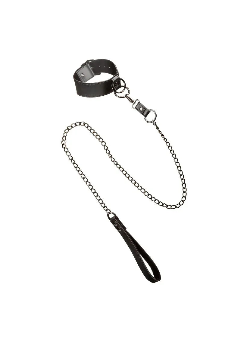 Euphoria Collection Collar with Chain Leash by CalExotics - Happytoys Sexshop: Toys for Feeling Happy & Easy 😊 - Discreet geleverd