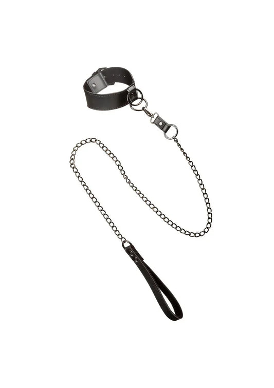Euphoria Collection Collar with Chain Leash by CalExotics - Happytoys Sexshop: Toys for Feeling Happy & Easy 😊 - Discreet geleverd