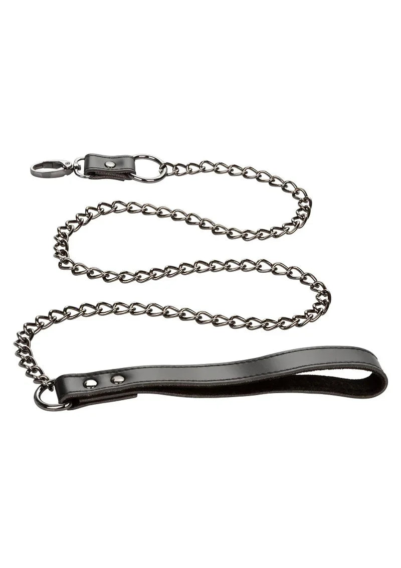 Euphoria Collection Collar with Chain Leash by CalExotics - Happytoys Sexshop: Toys for Feeling Happy & Easy 😊 - Discreet geleverd