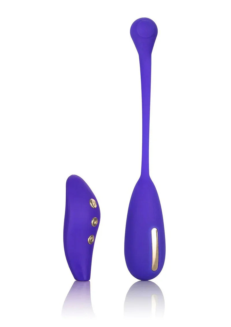 Impulse Intimate E-Stimulator Remote Kegel Exerciser by CalExotics - Happytoys Sexshop: Toys for Feeling Happy & Easy 😊 - Discreet geleverd