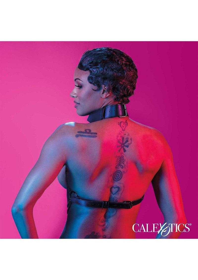 Euphoria Collection Multi Chain Collar Harness by CalExotics - Happytoys Sexshop: Toys for Feeling Happy & Easy 😊 - Discreet geleverd