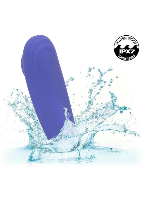 Calex Connect Panty Teaser by CalExotics