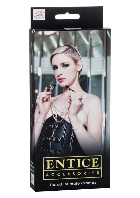 DeEnticeTieredIntimateClampszijneensetdesignertepelklemmenmetzachteencomfortabelekussentjes.2 @ Happytoys Sexshop: online sex shop for Feeling Happy & Easy 😊 the erotic store owned by a woman