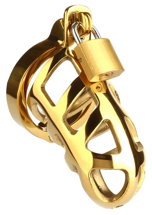 Mr-Steel-Brutal-Chastity-Cage-Gold-Happytoys-Sexshop-Toys-for-Feeling-Happy-Easy-9884 @ Happytoys Sexshop: online sex shop for Feeling Happy & Easy 😊 the erotic store owned by a woman
