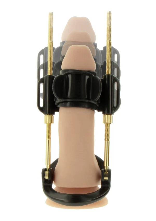 Penis Growth Training Comfort Set by Hidden Desire