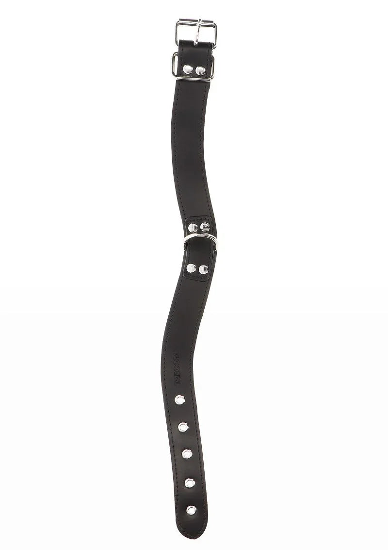 Taboom Bondage Essentials Elegante D-Ring Halsband - Happytoys Sexshop: Toys for Feeling Happy & Easy 😊 - Discreet geleverd
