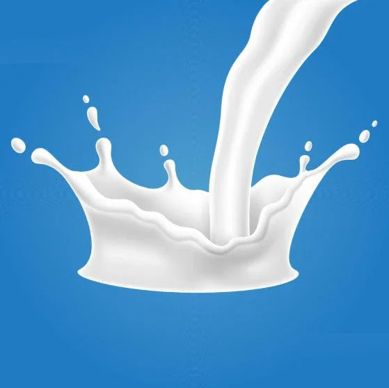 White milk splashing on a blue background with thick pouring stream
