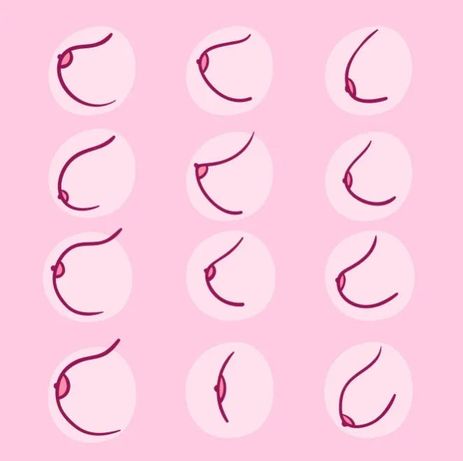 Kunst borsten - Happytoys Sexshop: Toys for Feeling Happy & Easy 😊 - Discreet geleverd
