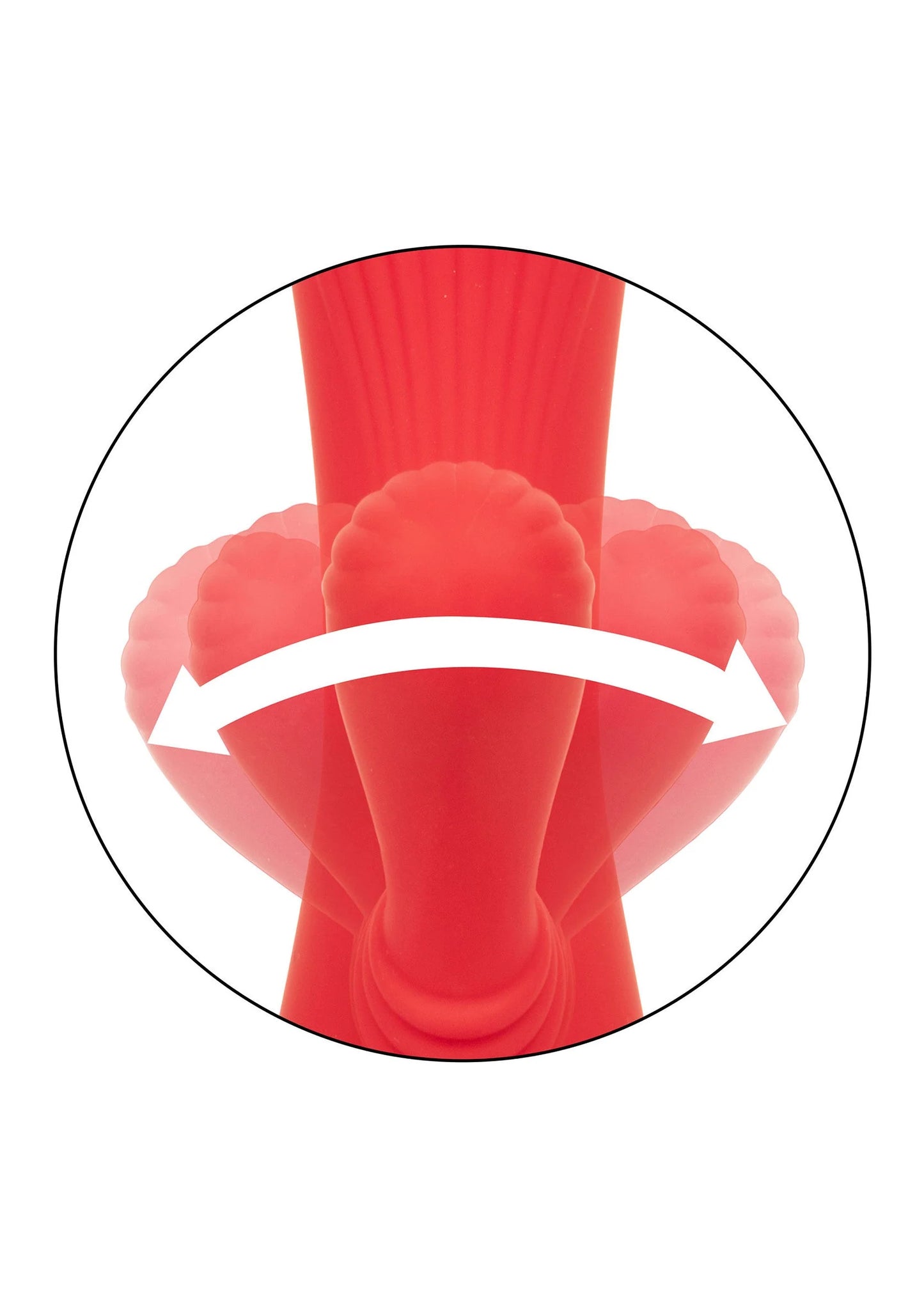 Beste vandaag nog: California Dreaming Palisades Passion by CalExotics - bij Happytoys