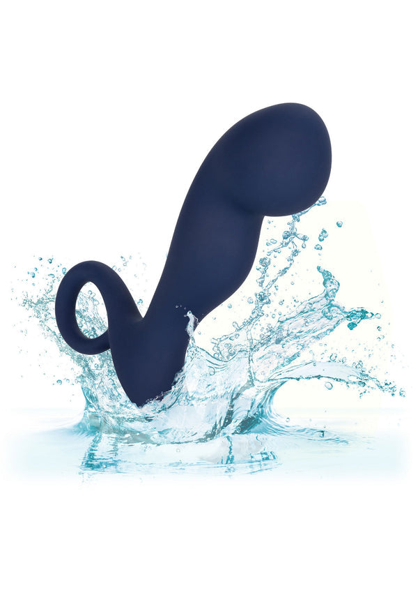 Rechargeable Command Probe by CalExotics Viceroy