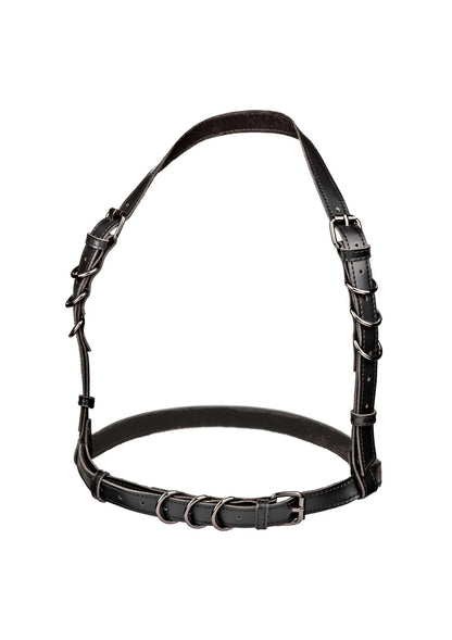 Bestel: Euphoria Collection Halter Buckle Harness by CalExotics - bij Happytoys: de erotische sex webshop | liever Happy dan Easy ⭐⭐⭐⭐⭐ - Default Title - 16702 - BLACK