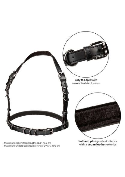 Bestel: Euphoria Collection Halter Buckle Harness by CalExotics - bij Happytoys: de erotische sex webshop | liever Happy dan Easy ⭐⭐⭐⭐⭐