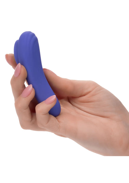 Bestel: Calex Connect Panty Teaser by CalExotics - bij Happytoys: de erotische sex webshop | liever Happy dan Easy ⭐⭐⭐⭐⭐
