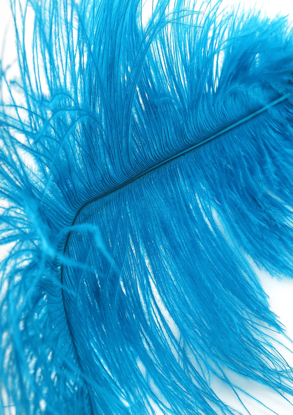 Bestel: Double Feather Tickler by Hidden Desire Extreme - bij Happytoys.nl, happytoys.be, Happytoys.ae: erotische sex webshop | liever Happy dan Easy ⭐⭐⭐⭐⭐