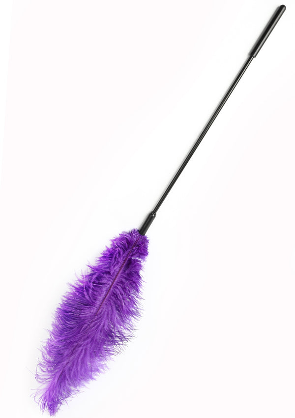 16899_PURPLE_01 | bestel discreet online bij Happytoys, de erotische webshop geleid door een vrouw.