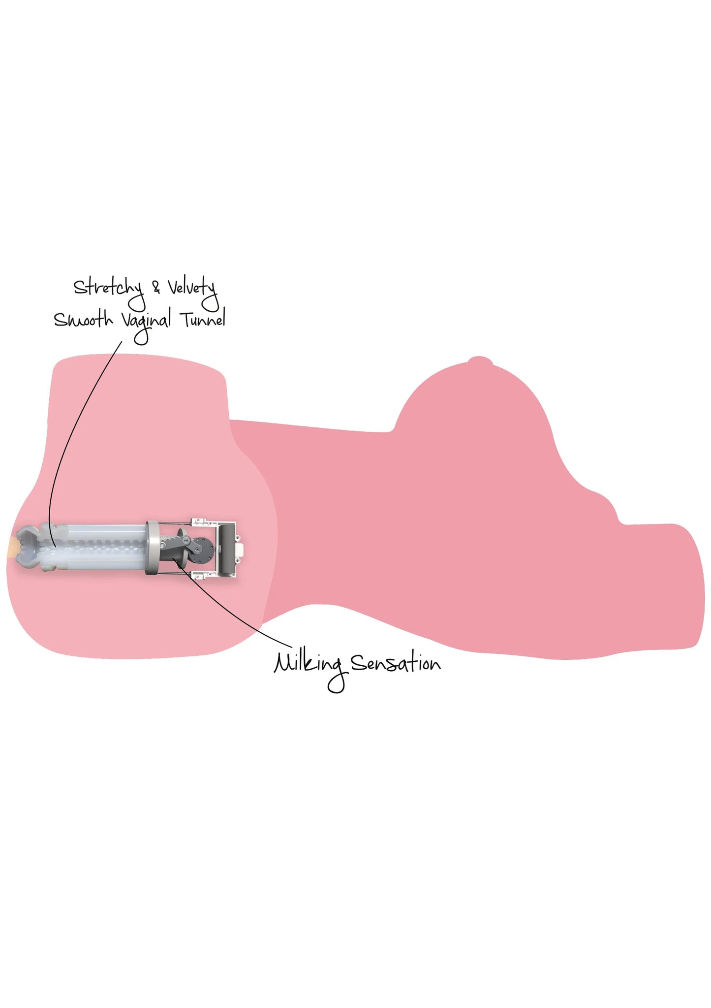 Beste vandaag nog: Horny Milking Bitch 10kg by Hidden Desire - bij Happytoys Sexshop: Toys for Feeling Happy & Easy 😊