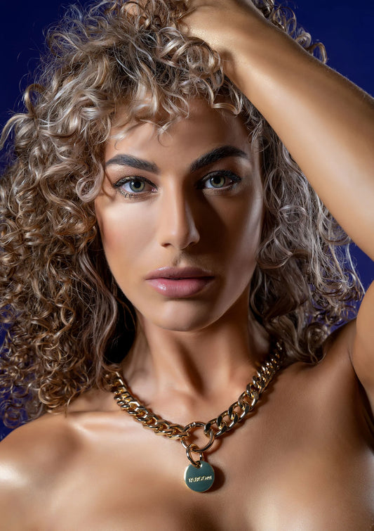 Bestel: Statement Collar - bij Happytoys: de erotische sex webshop | liever Happy dan Easy ⭐⭐⭐⭐⭐ - Default Title - 17301 - GOLD
