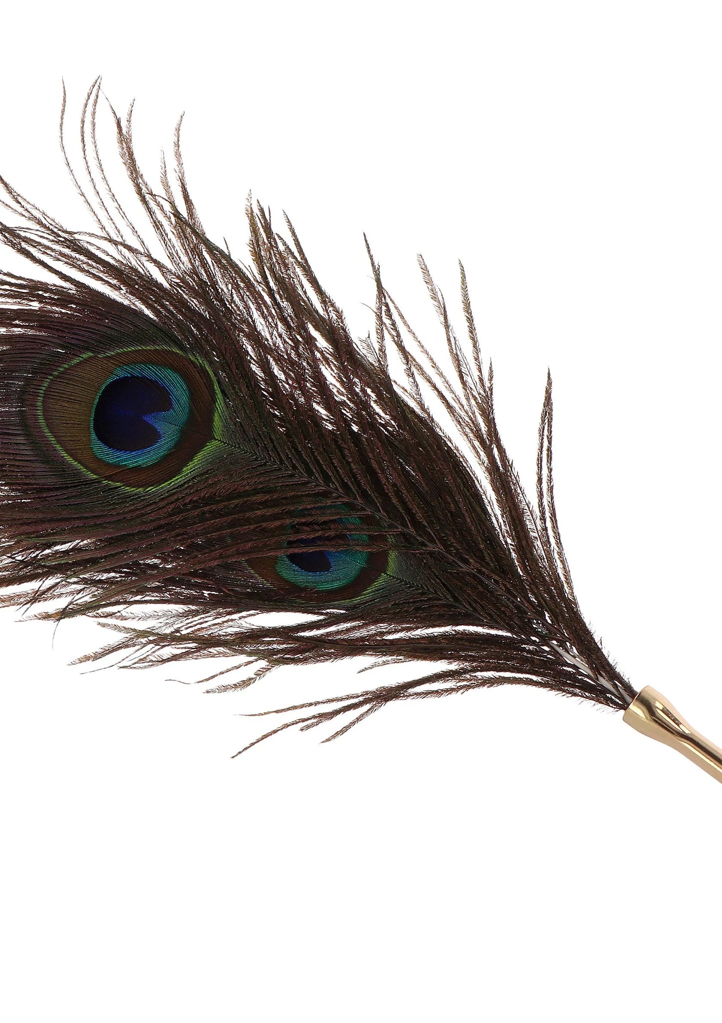 Beste vandaag nog: Dona Peacock Tickler by Taboom - bij Happytoys