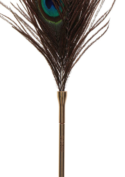 Beste vandaag nog: Dona Peacock Tickler by Taboom - bij Happytoys