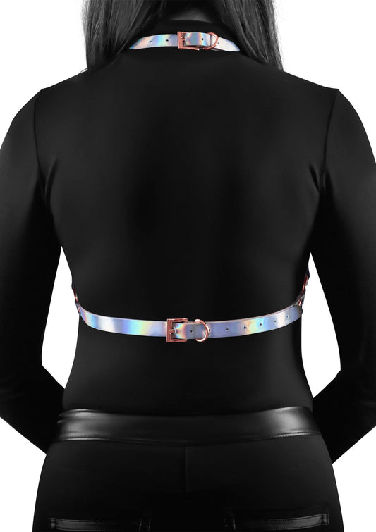Bestel: Cosmo Harness Crave - bij Happytoys: de erotische sex webshop | liever Happy dan Easy ⭐⭐⭐⭐⭐ - Default Title - 19140 - MULTICOLOR - S/M