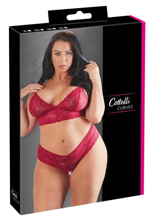 Bra and Briefs - Happytoys Sexshop: Toys for Feeling Happy & Easy 😊 - Discreet geleverd
