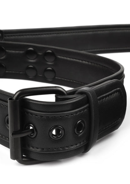 Signature Collar & Leash Vantage 8 Avanza