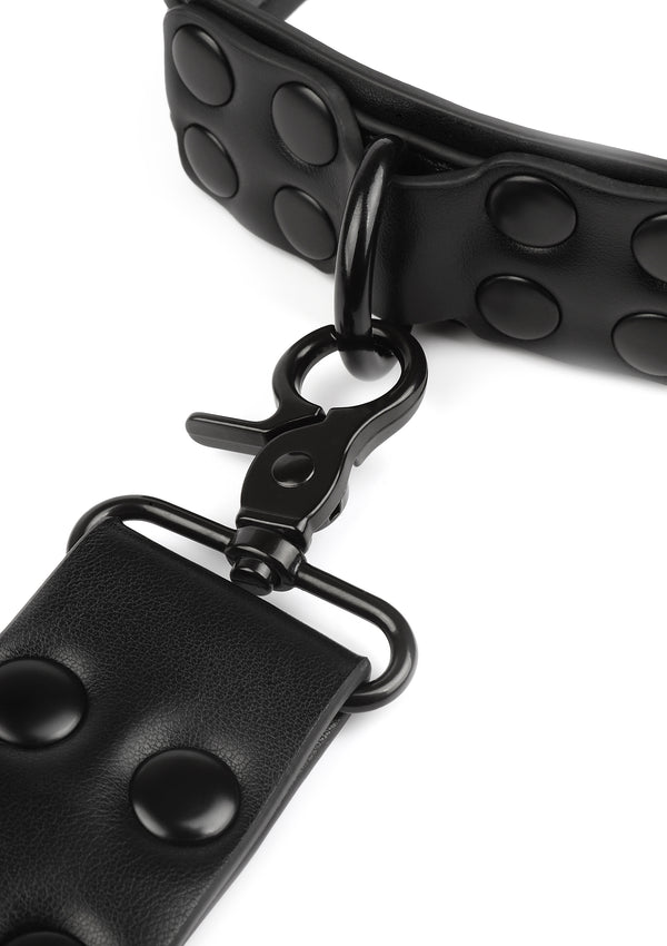 Signature Collar & Leash Vantage 8 Avanza
