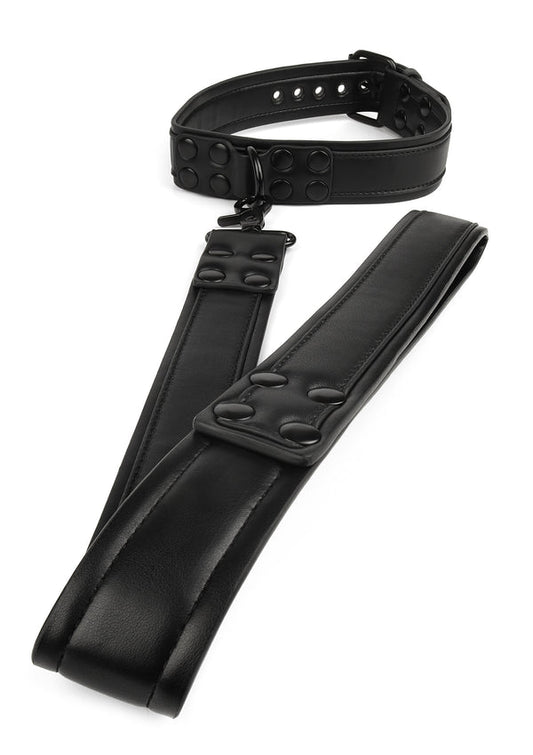 Signature Collar & Leash Vantage 8 Avanza