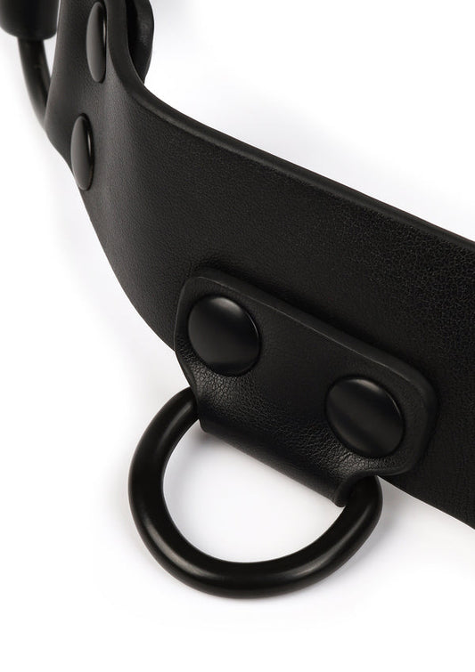 Core Body Harness by Vantage 8 Avanza