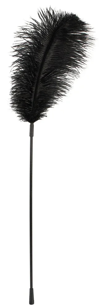 Feather Wand - Happytoys Sexshop: Toys for Feeling Happy & Easy 😊 - Discreet geleverd