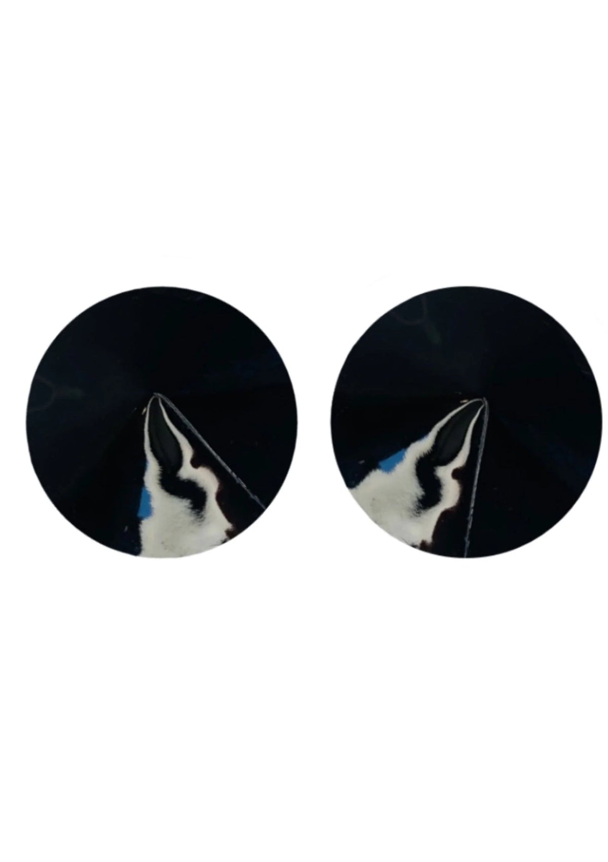 Bestel: Nipple Covers Gloss - bij Happytoys: de erotische sex webshop | liever Happy dan Easy ⭐⭐⭐⭐⭐