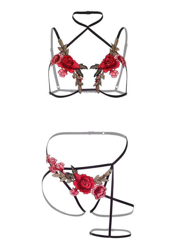 Roses Bra and Crotchless Panty by Daring Intimates