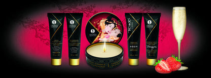 Geisha's Secrets Set by Shunga