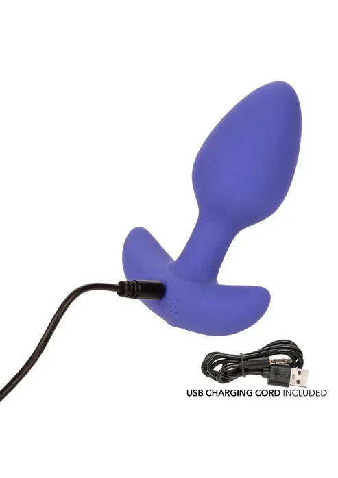 App Controled Tapered Probe @ CalExotics - Happytoys Sexshop: online sex shop for Feeling Happy & Easy 😊 - Discreet geleverd