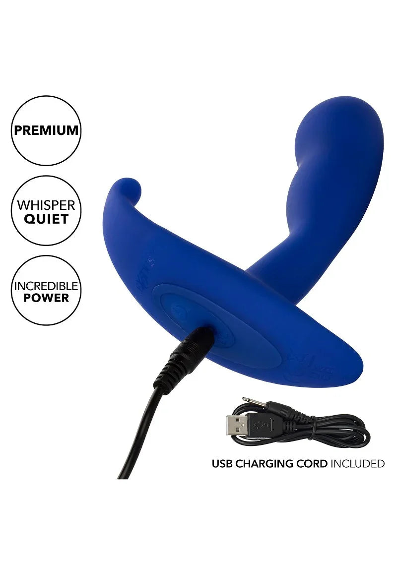 Admiral Advanced Curved Probe by CalExotics - Happytoys Sexshop: Toys for Feeling Happy & Easy 😊 - Discreet geleverd
