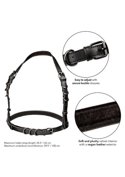 Euphoria Collection Halter Buckle Harness by CalExotics - Happytoys Sexshop: online sex shop for Feeling Happy & Easy 😊 - Discreet geleverd