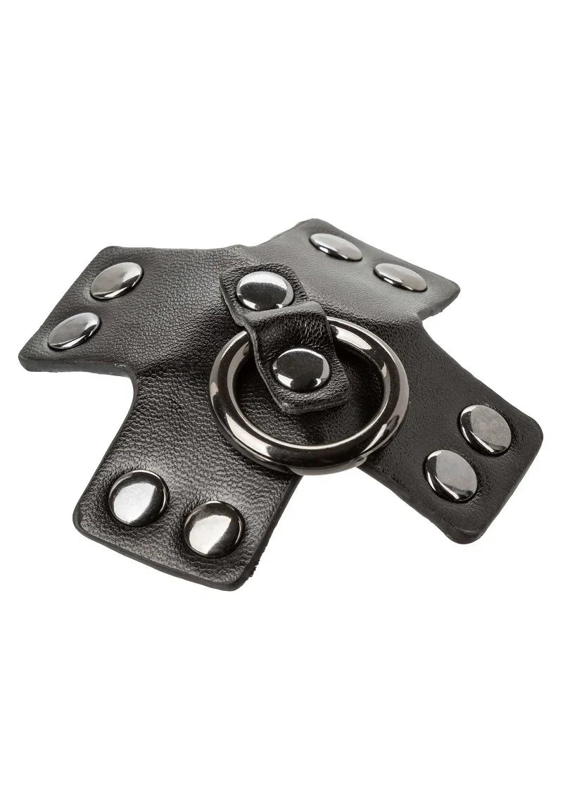 Euphoria Collection O-Ring Pasties by CalExotics - Happytoys Sexshop: Toys for Feeling Happy & Easy 😊 - Discreet geleverd