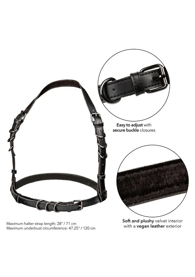 Euphoria Collection Plus Size Halter Buckle Harness by CalExotics - Happytoys Sexshop: Toys for Feeling Happy & Easy 😊 - Discreet geleverd