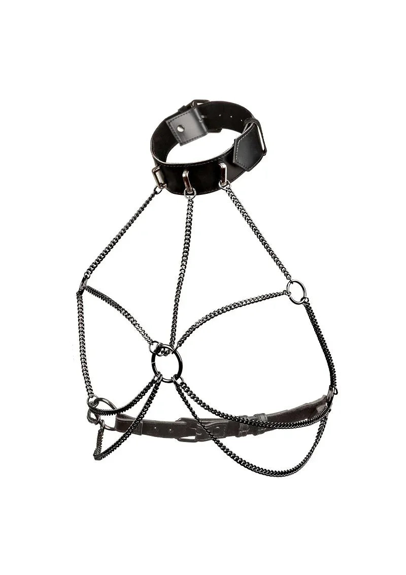 Euphoria Collection Plus Size Multi Chain Collar Harness by CalExotics - Happytoys Sexshop: Toys for Feeling Happy & Easy 😊 - Discreet geleverd