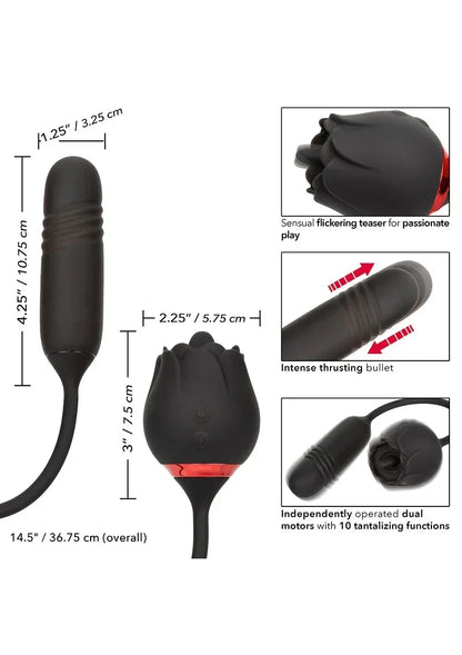 CalExoticsFrenchKissEliteRomeo3 @ Happytoys Sexshop: online sex shop for Feeling Happy & Easy 😊 the erotic store owned by a woman