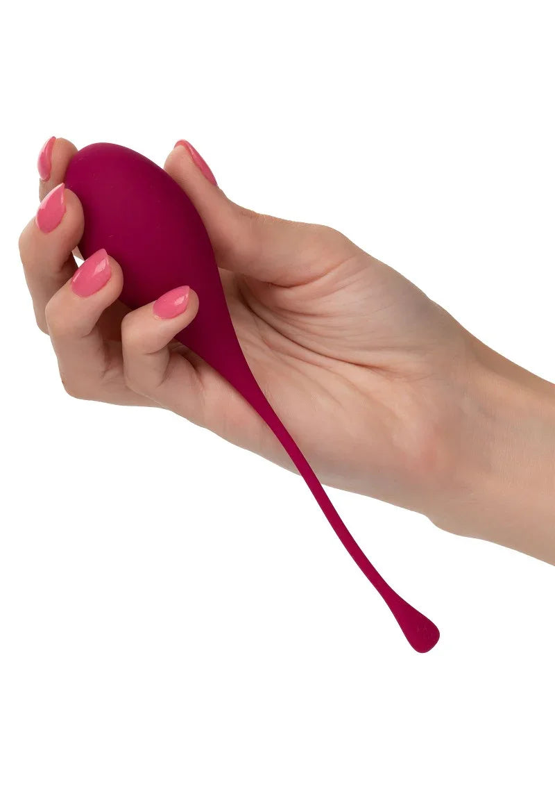 ♀ CalExotics Kegel Training 5-Piece Set bekkenbodem trainer - Happytoys Sexshop: Toys for Feeling Happy & Easy 😊 - Discreet geleverd