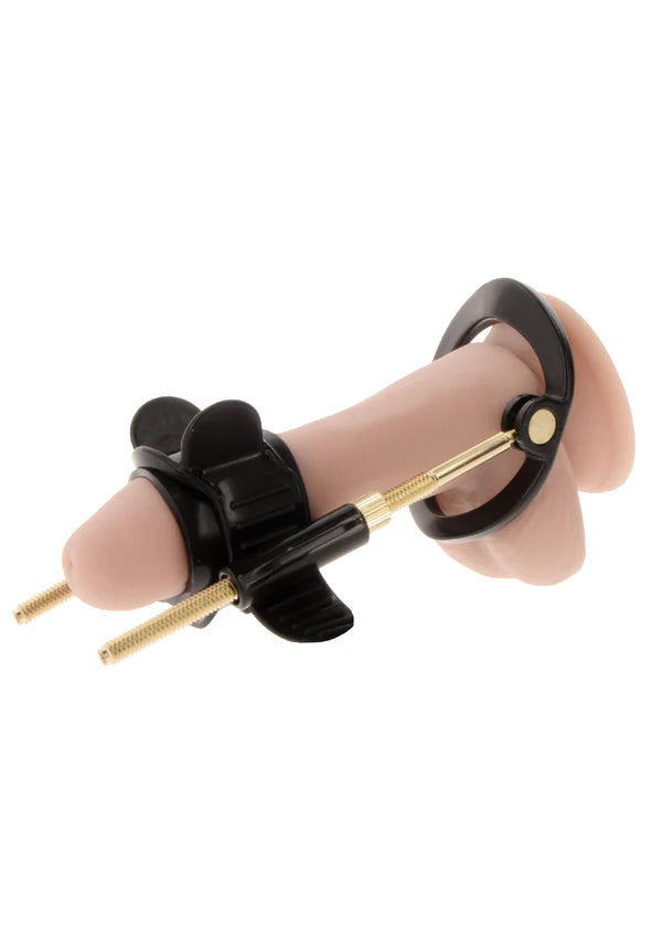 Penis Growth Training Comfort Set by Hidden Desire