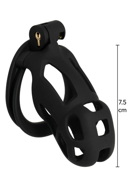 Penis Prison Cock Cage Regular by Hidden Desire