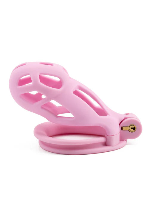 Penis Prison Cock Cage Regular by Hidden Desire