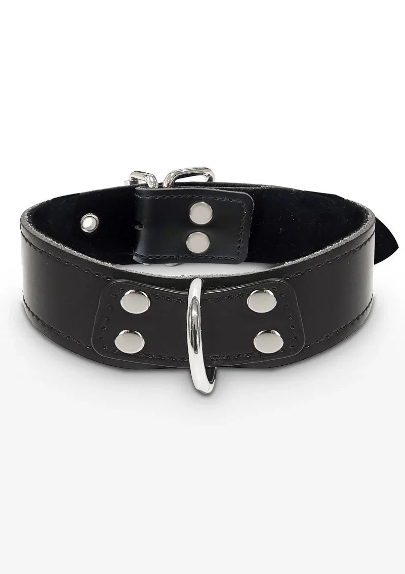 Taboom Bondage Essentials Elegante D-Ring Halsband - Happytoys Sexshop: Toys for Feeling Happy & Easy 😊 - Discreet geleverd